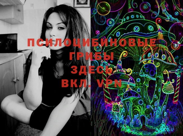 первитин Ельня