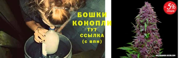 первитин Ельня