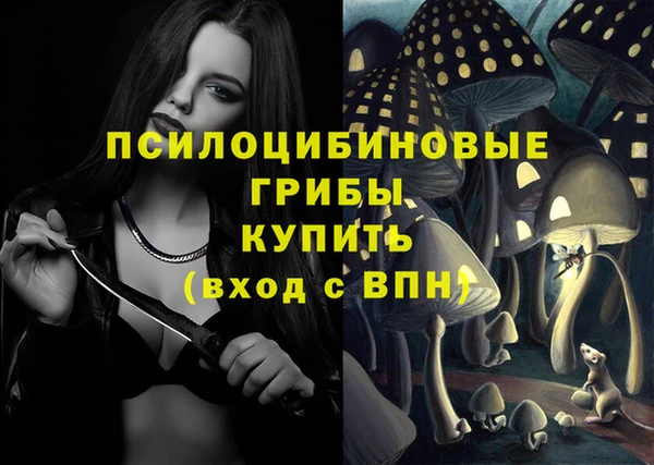 первитин Ельня