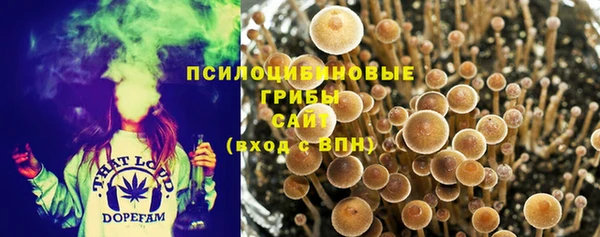 винт Елабуга